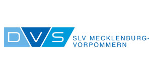 DVS GSI SLV Logo